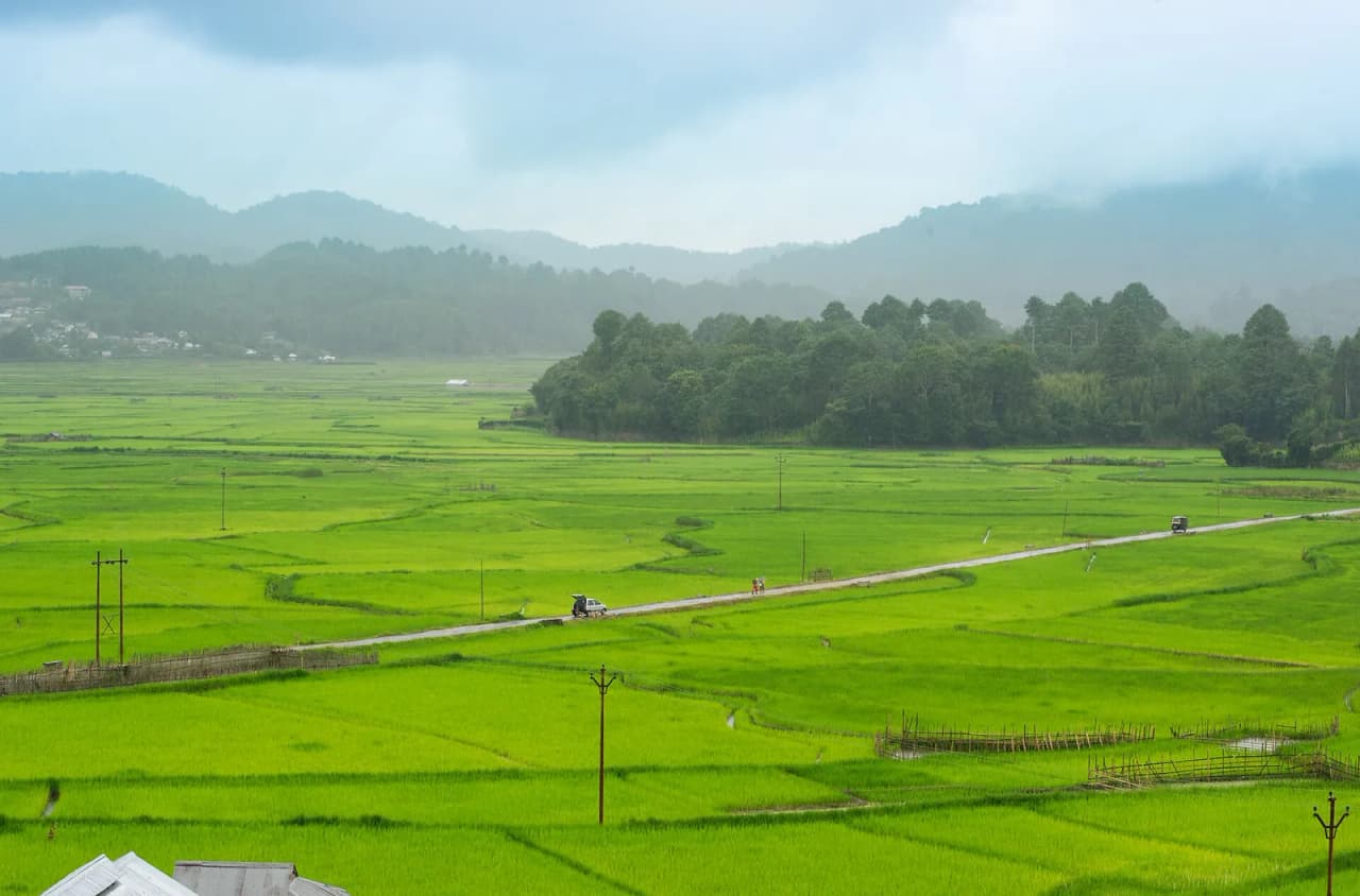 Paddy fields and hills of Ziro Valley, Lower Subansiri district, Arunachal Pradesh